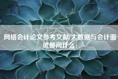 详细阅读:网络会计论文参考文献(大数据与会计面试都问什么) 网络会计论文参考文献(大数据与会计面试都问什么)
