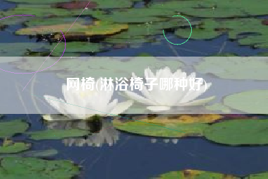 详细阅读:网椅(淋浴椅子哪种好) 网椅(淋浴椅子哪种好)