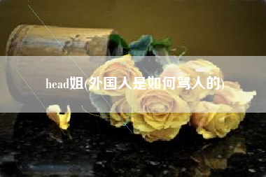 详细阅读:head姐(外国人是如何骂人的) head姐(外国人是如何骂人的)