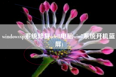 详细阅读:windowsxp系统修复(dell电脑win7系统开机蓝屏) windowsxp系统修复(dell电脑win7系统开机蓝屏)