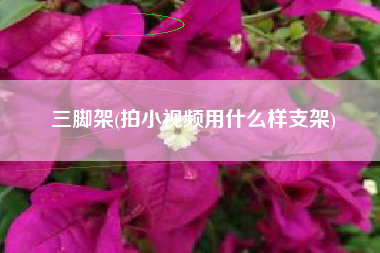 详细阅读:三脚架(拍小视频用什么样支架) 三脚架(拍小视频用什么样支架)