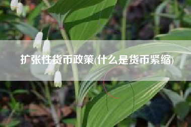 详细阅读:扩张性货币政策(什么是货币紧缩) 扩张性货币政策(什么是货币紧缩)