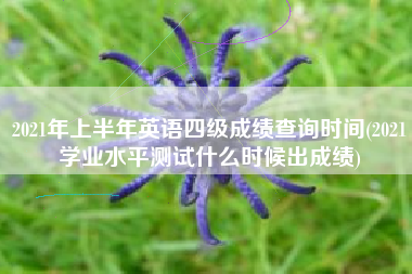 详细阅读:2021年上半年英语四级成绩查询时间(2021学业水平测试什么时候出成绩) 2021年上半年英语四级成绩查询时间(2021学业水平测试什么时候出成绩)