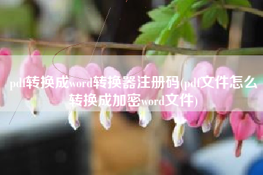 详细阅读:pdf转换成word转换器注册码(pdf文件怎么转换成加密word文件) pdf转换成word转换器注册码(pdf文件怎么转换成加密word文件)