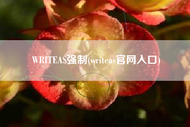 详细阅读:WRITEAS强制(writeas官网入口) WRITEAS强制(writeas官网入口)