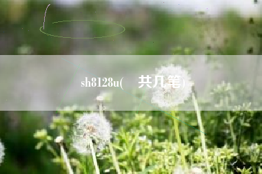 详细阅读:sh8128u(⻖共几笔) sh8128u(⻖共几笔)