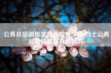 详细阅读:公务员培训班学费一般多少钱(当上公务员父母看病有报销吗) 公务员培训班学费一般多少钱(当上公务员父母看病有报销吗)