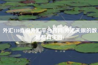 详细阅读:外汇110查询外汇平台官网(外汇天眼的数据都真实吗) 外汇110查询外汇平台官网(外汇天眼的数据都真实吗)