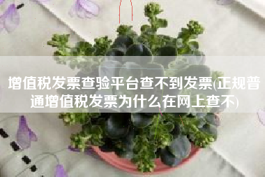 详细阅读:增值税发票查验平台查不到发票(正规普通增值税发票为什么在网上查不) 增值税发票查验平台查不到发票(正规普通增值税发票为什么在网上查不)