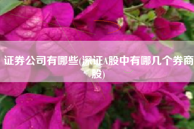 详细阅读:证券公司有哪些(深证A股中有哪几个券商股) 证券公司有哪些(深证A股中有哪几个券商股)