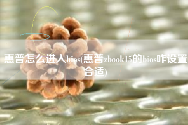 详细阅读:惠普怎么进入bios(惠普zbook15的bios咋设置合适) 惠普怎么进入bios(惠普zbook15的bios咋设置合适)
