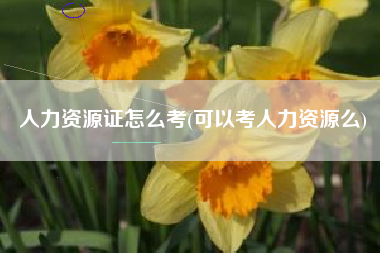 详细阅读:人力资源证怎么考(可以考人力资源么) 人力资源证怎么考(可以考人力资源么)