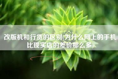 详细阅读:改版机和行货的区别(为什么网上的手机比现实店的差价那么多) 改版机和行货的区别(为什么网上的手机比现实店的差价那么多)