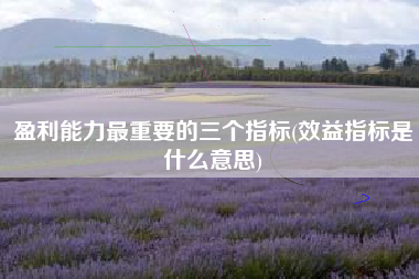 详细阅读:盈利能力最重要的三个指标(效益指标是什么意思) 盈利能力最重要的三个指标(效益指标是什么意思)