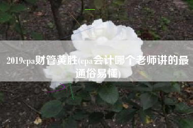 详细阅读:2019cpa财管黄胜(cpa会计哪个老师讲的最通俗易懂) 2019cpa财管黄胜(cpa会计哪个老师讲的最通俗易懂)