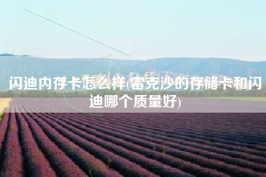 详细阅读:闪迪内存卡怎么样(雷克沙的存储卡和闪迪哪个质量好) 闪迪内存卡怎么样(雷克沙的存储卡和闪迪哪个质量好)