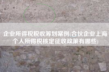 详细阅读:企业所得税税收筹划案例(合伙企业上海个人所得税核定征收政策有哪些) 企业所得税税收筹划案例(合伙企业上海个人所得税核定征收政策有哪些)