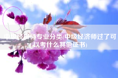 中级经济师专业分类(中级经济师过了可以考什么其他证书)