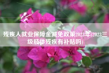 详细阅读:残疾人就业保障金减免政策2023年(2023三级肢体残疾有补贴吗) 残疾人就业保障金减免政策2023年(2023三级肢体残疾有补贴吗)