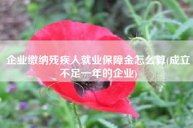 详细阅读:企业缴纳残疾人就业保障金怎么算(成立不足一年的企业) 企业缴纳残疾人就业保障金怎么算(成立不足一年的企业)