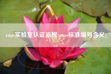 详细阅读:cnas实验室认证流程(cnas标准编号含义) cnas实验室认证流程(cnas标准编号含义)