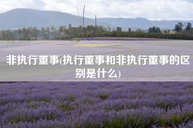 详细阅读:非执行董事(执行董事和非执行董事的区别是什么) 非执行董事(执行董事和非执行董事的区别是什么)