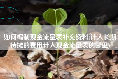 详细阅读:如何编制现金流量表补充资料(计入长期待摊的费用计入现金流量表的哪里) 如何编制现金流量表补充资料(计入长期待摊的费用计入现金流量表的哪里)