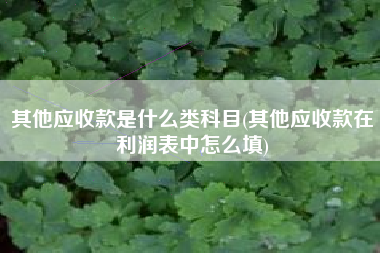 详细阅读:其他应收款是什么类科目(其他应收款在利润表中怎么填) 其他应收款是什么类科目(其他应收款在利润表中怎么填)