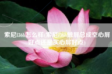 详细阅读:索尼l36h怎么样(索尼l36h触屏总成空心屏好点还是实心屏好点) 索尼l36h怎么样(索尼l36h触屏总成空心屏好点还是实心屏好点)