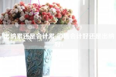 详细阅读:出纳累还是会计累(销售会计好还是出纳好) 出纳累还是会计累(销售会计好还是出纳好)