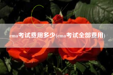 详细阅读:cma考试费用多少(cma考试全部费用) cma考试费用多少(cma考试全部费用)
