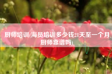 详细阅读:厨师培训(海员培训多少钱21天至一个月厨师靠谱吗) 厨师培训(海员培训多少钱21天至一个月厨师靠谱吗)