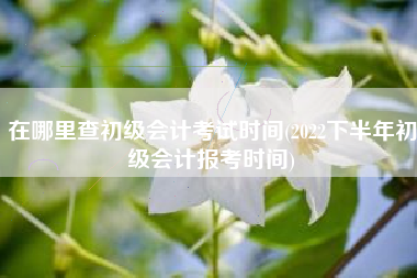 详细阅读:在哪里查初级会计考试时间(2022下半年初级会计报考时间) 在哪里查初级会计考试时间(2022下半年初级会计报考时间)