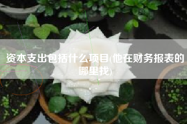 详细阅读:资本支出包括什么项目(他在财务报表的哪里找) 资本支出包括什么项目(他在财务报表的哪里找)