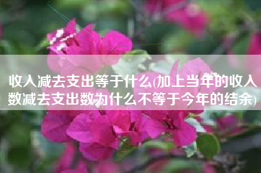 详细阅读:收入减去支出等于什么(加上当年的收入数减去支出数为什么不等于今年的结余) 收入减去支出等于什么(加上当年的收入数减去支出数为什么不等于今年的结余)