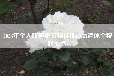 详细阅读:2023年个人所得税扣税标准(2023退休个税起征点) 2023年个人所得税扣税标准(2023退休个税起征点)