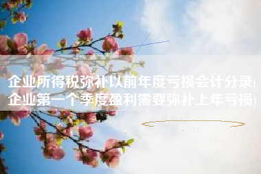 详细阅读:企业所得税弥补以前年度亏损会计分录(企业第一个季度盈利需要弥补上年亏损) 企业所得税弥补以前年度亏损会计分录(企业第一个季度盈利需要弥补上年亏损)