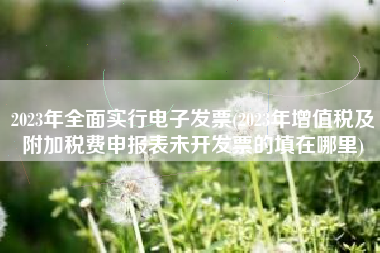 详细阅读:2023年全面实行电子发票(2023年增值税及附加税费申报表未开发票的填在哪里) 2023年全面实行电子发票(2023年增值税及附加税费申报表未开发票的填在哪里)