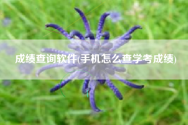 详细阅读:成绩查询软件(手机怎么查学考成绩) 成绩查询软件(手机怎么查学考成绩)