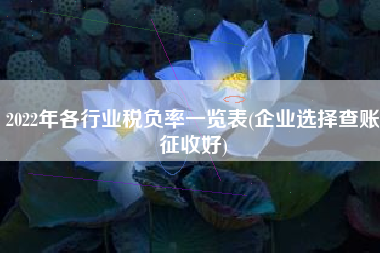 详细阅读:2022年各行业税负率一览表(企业选择查账征收好) 2022年各行业税负率一览表(企业选择查账征收好)