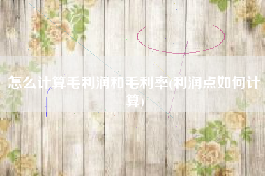 详细阅读:怎么计算毛利润和毛利率(利润点如何计算) 怎么计算毛利润和毛利率(利润点如何计算)