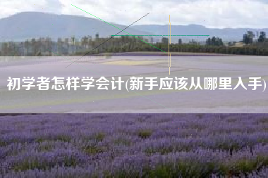 详细阅读:初学者怎样学会计(新手应该从哪里入手) 初学者怎样学会计(新手应该从哪里入手)