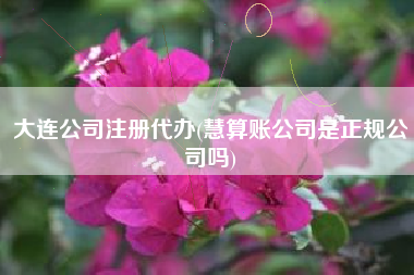 详细阅读:大连公司注册代办(慧算账公司是正规公司吗) 大连公司注册代办(慧算账公司是正规公司吗)