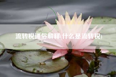 详细阅读:流转税通俗解释(什么是流转税) 流转税通俗解释(什么是流转税)