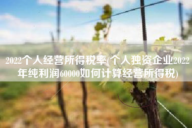 详细阅读:2022个人经营所得税率(个人独资企业2022年纯利润60000如何计算经营所得税) 2022个人经营所得税率(个人独资企业2022年纯利润60000如何计算经营所得税)