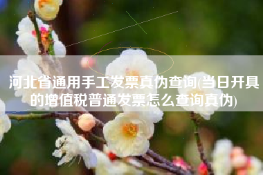 详细阅读:河北省通用手工发票真伪查询(当日开具的增值税普通发票怎么查询真伪) 河北省通用手工发票真伪查询(当日开具的增值税普通发票怎么查询真伪)