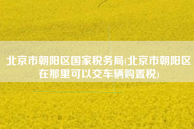 详细阅读:北京市朝阳区国家税务局(北京市朝阳区在那里可以交车辆购置税) 北京市朝阳区国家税务局(北京市朝阳区在那里可以交车辆购置税)