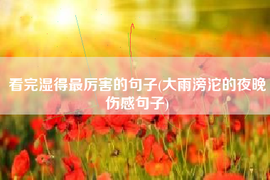 详细阅读:看完湿得最厉害的句子(大雨滂沱的夜晚伤感句子) 看完湿得最厉害的句子(大雨滂沱的夜晚伤感句子)