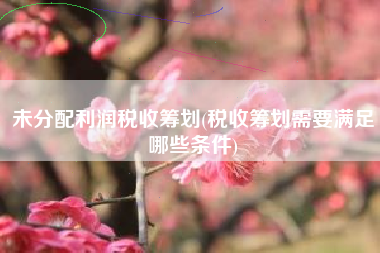 详细阅读:未分配利润税收筹划(税收筹划需要满足哪些条件) 未分配利润税收筹划(税收筹划需要满足哪些条件)