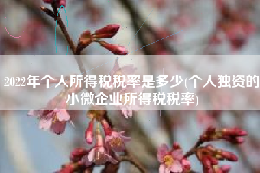 详细阅读:2022年个人所得税税率是多少(个人独资的小微企业所得税税率) 2022年个人所得税税率是多少(个人独资的小微企业所得税税率)